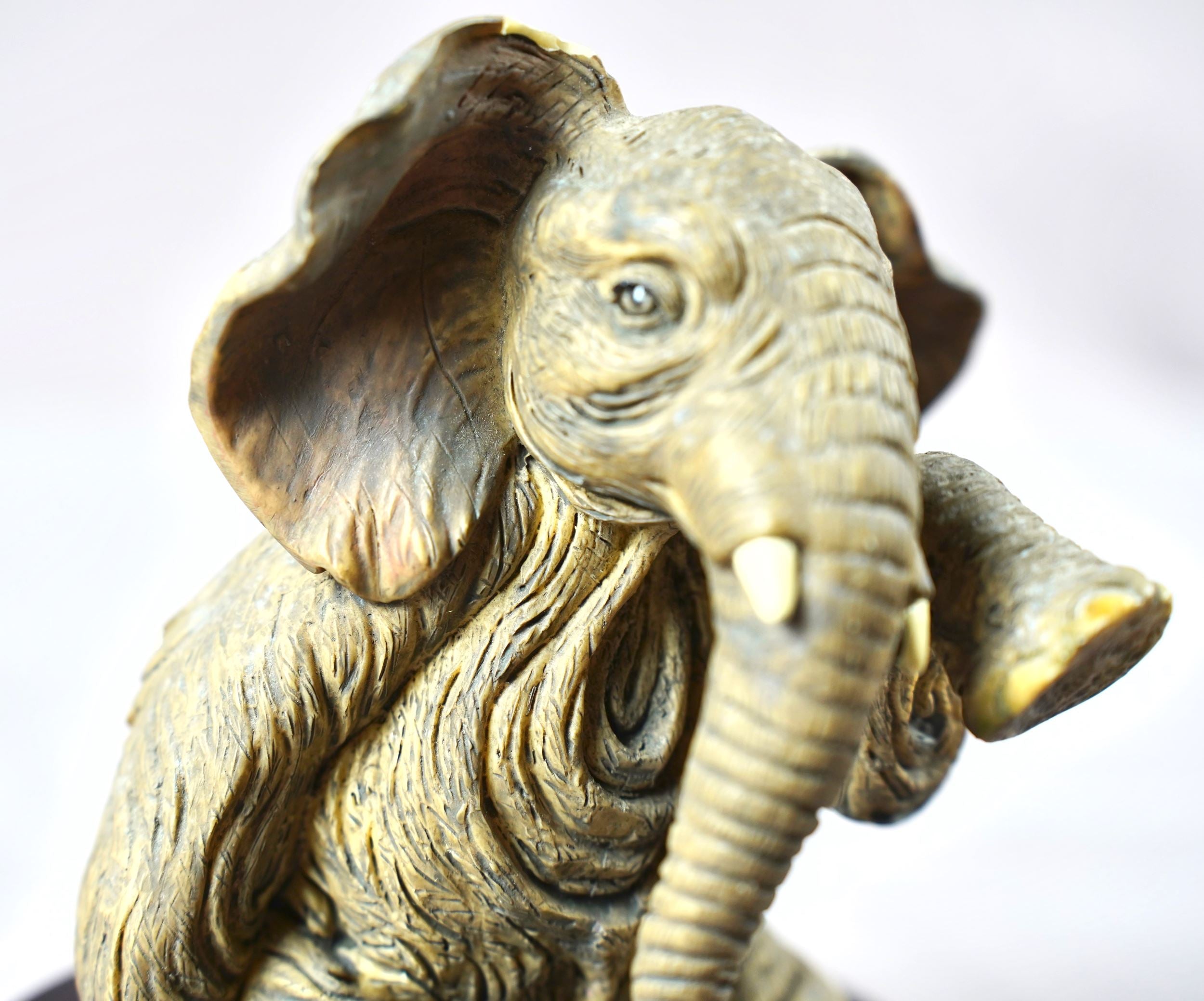 The silent Screams - Juliana Collection in Elephant Collectables - shopeeeys